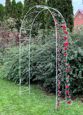 Zdjęcie produktu dla DanDiBo Łuk różany Metalowy Ocynkowany Solidny 120 cm Łuk 96518 Odporny na warunki atmosferyczne Okrągły łuk Solidna żelazna pomoc do wspinaczki Łuk ogrodowy Ocynkowany ogniowo