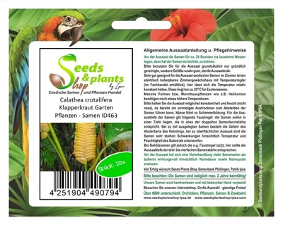 Produktbild von 10x Calathea crotalifera Klapperkraut Garten Pflanzen - Samen ID463