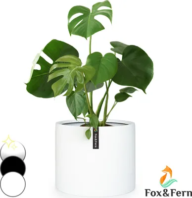 Image de Fox & Fern Pot de Fleur Interieur et Extérieur, Jardinieres Exterieur, Pot Plante Résistant UV et Gel avec Bouchon de Drainage, Fiberstone, Jardiniere, Pot de Fleur Exterieur Grande Taille, Pot Unique