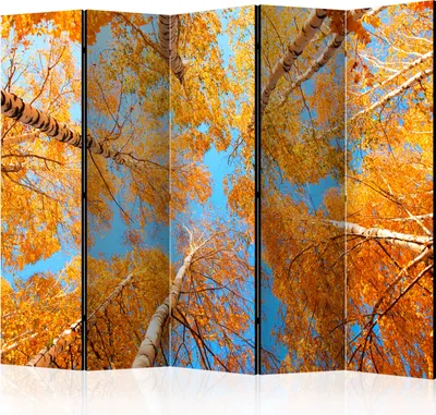 Zdjęcie produktu dla Akustyczna ścianka działowa leśny ekran fotograficzny 225x172 cm drukowany po obu stronach na włókninie płóciennej Akustyczna piankowa ścianka działowa hiszpańska ściana ekran prywatności domowe biuro drzewa natura botanika brzoza c-C-0279-z-c