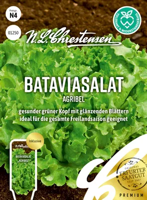 Artikelbild 1 von 'Bataviasalat Agribel' aus der Kategorie Salatsamen