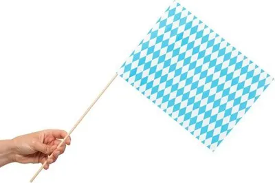 A hand holding a small flag with a blue and white diamond pattern.