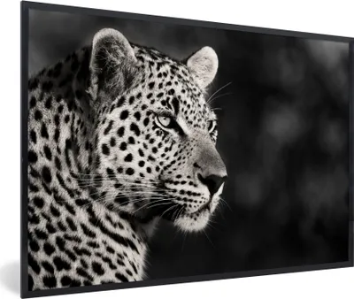 Produktbild von MuchoWow® MuchoWow® Gerahmtes Poster Leopard - Schwarz - Weiß - Südafrika 60x40 cm - Poster mit zchwarzem Bilderrahmen - Printing - Wanddeko Schlafzimmer