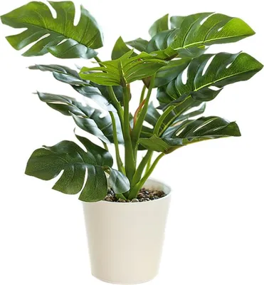 Zdjęcie produktu dla Sztuczna roślina doniczkowa w stylu bonsai, realistyczna dekoracja, 61894