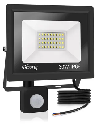 LED-Außenstrahler 30 W, 3000 lm, kaltweiß, IP66, Bewegungsmelder