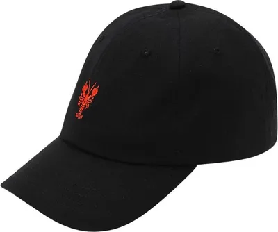 Image de Iriedaily La Vida Lobster Cap Noir .