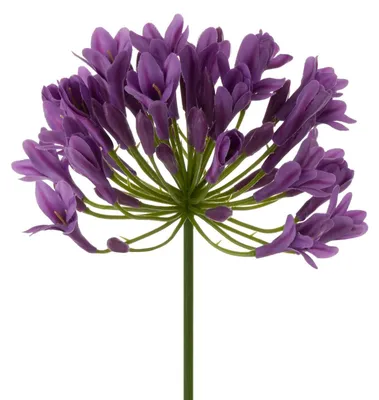 Productafbeelding van Kunstbloem agapant, paars, 76 cm, set van 6 stuks