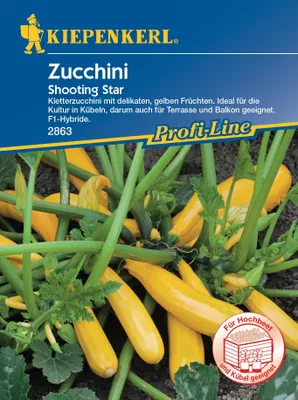Produktbild von Kiepenkerl Profi-Line Zucchini Shooting Star Cucurbita pepo, Inhalt: 5 Korn