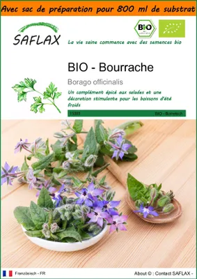Image de SAFLAX Garden in the bag -- Bourrache - 40 graines - Borago