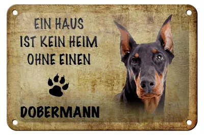 Produktbild von Blechschild Spruch 18x12cm Dobermann Hund ohne kein Heim