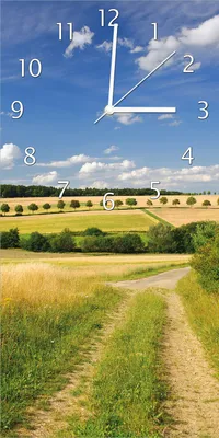 Produktbild von Wallario Design Wanduhr bedruckt, Größe 30 x 60 cm, Motiv: Feldlandschaft unter blauem Himmel