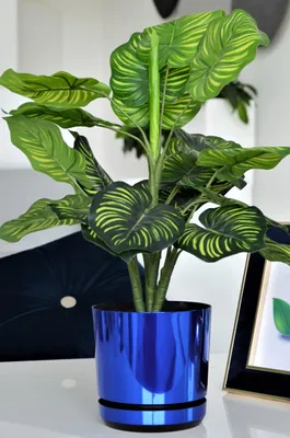 Obrázok produktu pre Kerd Dekor 21 cm okrúhly modrý lesklý kvetináč