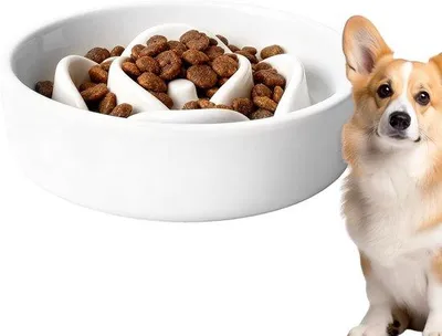 Produktbild von Famanu Futterstation für Hunde - Interaktive Futterpuzzle für langsames Fressen