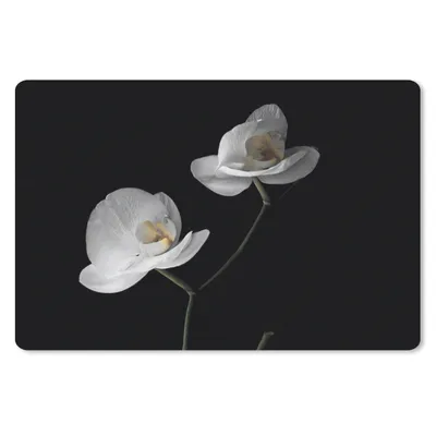 Produktbild von MuchoWow® Mauspad Mousepad Orchidee - Blumen - Schwarz - Weiß - Stilleben 27x18 cm - Mousepads - Maus Mat - Pad - Mausunterlage - Büroartikel - Desk Matten
