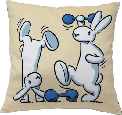 Obrázok produktu pre Vankúš 30x30cm, Bob&Bobek, činky