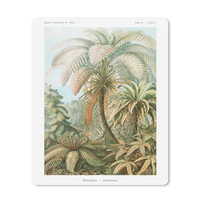 Produktbild von MuchoWow® Mauspad Mousepad Vintage - Alte Meister - Farne - Pflanzen - Natur 30x40 cm - Mousepads - Maus Mat - Pad - Mausunterlage - Mausmatten