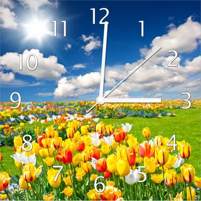 Produktbild von Wallario Design Wanduhr Tulpenwiese unter blauem Himmel aus Echtglas, Größe 30 x 30 cm