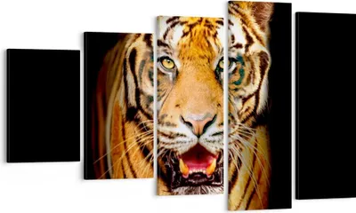 Produktbild von Bild auf Leinwand - Leinwandbild - tiger tier - 100x60cm - Wand Bild - Wanddeko - Wandbilder - Leinwanddruck - Bilder - Kunstdruck - Wanddekoration - Leinwand bilder - Wandkunst - EG100x60-4103