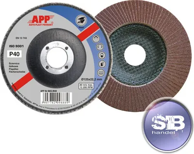 Produktbild von APP Fächerschleifscheibe Lamellenschleifscheibe Ø125mm P40 1Stck.