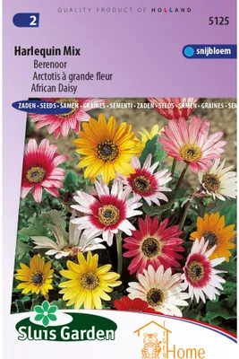 Immagine prodotto di Semi di Harlequin Mix Bärenohr – Coltivate fiori colorati – Alta qualità per giardini e bouquet – Versatili – Ricchi di sostanze nutritive