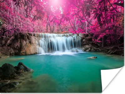 Produktbild von MuchoWow® Poster Wasserfall - Baum - Rosa - Natur 120x90 cm - Wandbild