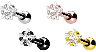 Produktbild von Ohrpiercing Chirurgenstahl Ohrpiercing KRISTALLSTERN