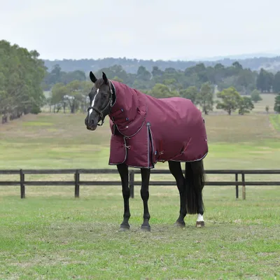 Immagine prodotto di Coperta da paddock Weatherbeeta, taglia 105 - Comfitec Essential, modello Detach-A-Neck, imbottitura 50g - Colore bordeaux/blu navy