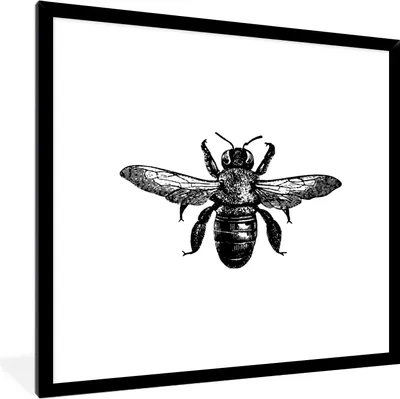 Produktbild von MuchoWow® Gerahmtes Poster Biene - Insekt - Vintage - Schwarz und weiß 40x40 cm - Poster mit Schwarzem Bilderrahmen Wandposter Rahmen Foto Bilder - Mit Rahmen - Wanddekoration Schlafzimmer