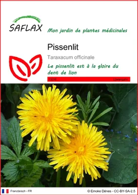 Image de SAFLAX  - Pissenlit - 200 graines - Taraxacum