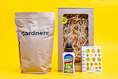 Obrázok produktu pre Jarná darčeková sada Gardners "Presuňte svoje kaktusy a sukulenty"