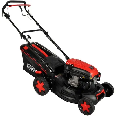 Immagine prodotto di Tosaerba BIG WHEELER 464.3 R