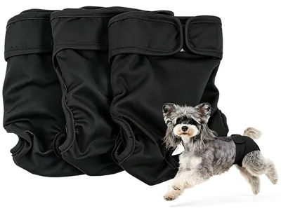 Produktbild von Wiederverwendbare Hundehosen für Hündinnen