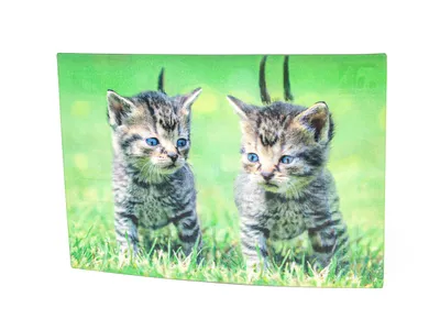 Produktbild von 3 D Ansichtskarte Katzen, Katze Postkarte Wackelkarte Hologrammkarte Tiere Kätzchen