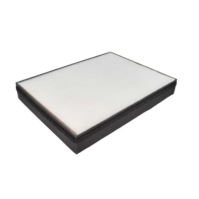 Hepa-Filter für Philips AC2889