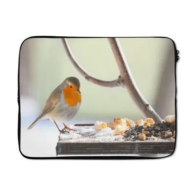 Produktbild von MuchoWow® Laptop Hülle 14 ZollRobin - Essen - Winter Laptoptasche - Laptoptasche - Stoßsicher - Schutzhaube