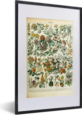 Produktbild von MuchoWow® Gerahmtes Poster Blumen - Orange - Gelb 40x60 cm - Poster mit Schwarzem Bilderrahmen Wandposter Rahmen Foto Bilder - Poster in Rahmen