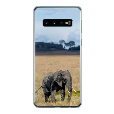 Produktbild von MuchoWow® Handyhülle Schutzhülle Hülle für Samsung Galaxy S10 Elefant - Gras - Tiere - Natur Silikon Softcase Handy Hülle - Handytasche
