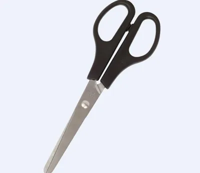 Image de Ciseaux arrondis 16.5 cm GR-2650 GRAND