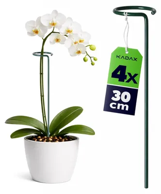 Immagine prodotto di KADAX Supporti per fiori da 30 cm, set da 4, supporti per piante in acciaio, bastoncini per orchidee per stabilizzare steli e fiori, supporti per orchidee