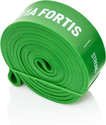 Produktbild von VIA FORTIS Premium Resistance Band + Übungsanleitung und Tasche (STRONG: 23kg-54kg) - Widerstandsbänder/Klimmzugband und Klimmzughilfe/Fitnessband/Trainings-Bänder für Fitness & Krafttraining
