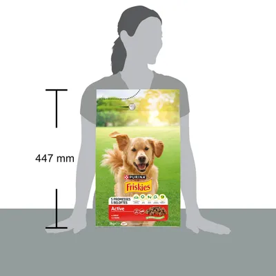 Productafbeelding van FRISKIES droogvoer voor honden met rundvlees, 3 kg