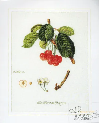 Zdjęcie produktu dla Thea Gouverneur zestaw do haftu krzyżykowego "Flarance Cherry Aida", 26x35cm