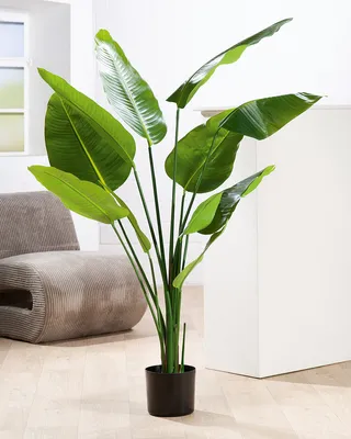 Image de Plante en pot Gilde, strelitzia, plastique, vert, lot de 1, H. 150 cm 59040
