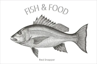 Produktbild von ESTAhome Wandtattoo Fisch Schwarz 70 x 46.5 cm