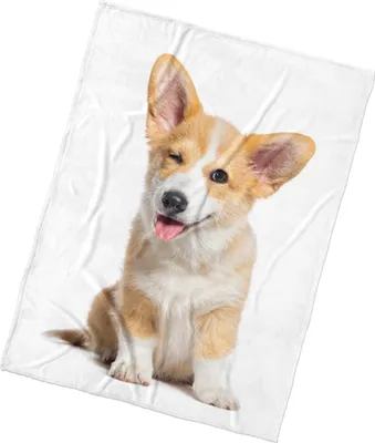 Immagine prodotto di Coperta microplush Psi Greatness 150x200 cm
