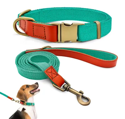 Imagen del producto de Conjunto de collar y correa, de cuero con nylon, de 32 a 50 cm, para perros