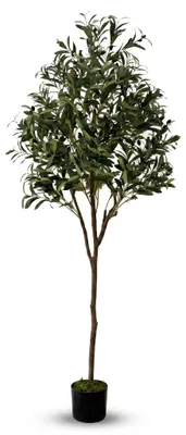 Immagine prodotto di IvoQ Albero di ulivo artificiale 180 cm - Pianta artificiale realistica con vaso e olive, Immagine generata dall'IA