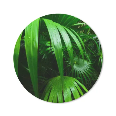 Produktbild von MuchoWow® Mauspad Mousepad Palmenblätter im Dschungel 30x30 cm - Mousepads - Maus Mat - Pad - Mausunterlage - Tischunterlage - Schreibtischmatten