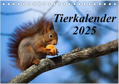 Produktbild von Tierkalender 2025 (Tischkalender 2025 DIN A5 quer), CALVENDO Monatskalender