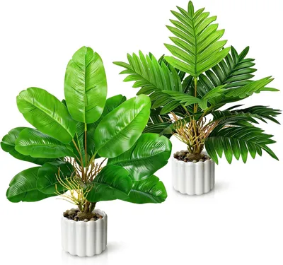 Image de Deux petites plantes artificielles en plastique, idéales pour un bureau